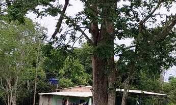 Imagem: Chácara em Bela vista