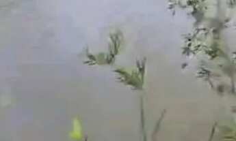 Imagem 6: Fazenda MG Bonfinópolis