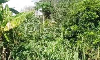 Imagem 5: Terreno à venda em Campinas, Chácara Primavera, com 1000 m²