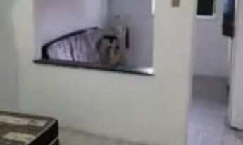 Imagem 4: Alugase casa período.de carnaval