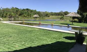 Imagem 6: Fazenda 42 alqueires