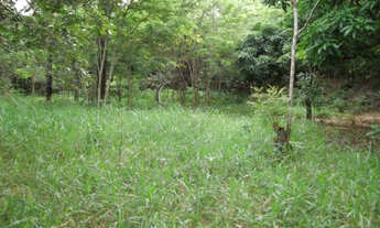 Imagem 7: Oportunidades LOtes de 1.000m a 68km de BH Entra. A parti de 10Mil * WhatsApp