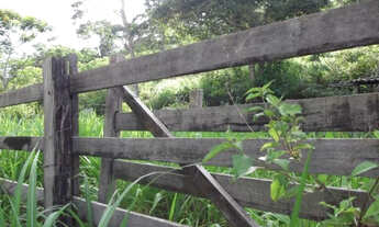 Imagem 4: Serra d Cipó!!! fazendinha rural de 6.5 ha todo formado * WhtsApp