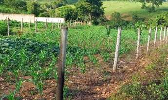 Imagem 5: Chacara em Anicuns - 80 km de Goiânia