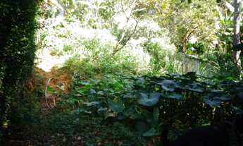 Imagem 4: Casa Mosela 2 pavimentos em ótimo local