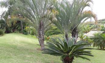 Imagem 4: Casa - Vale do Itamaracá - Valinhos