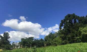 Imagem 6: Sítio / Chácara para Venda em Nova Petrópolis, Linha Araripe