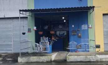Imagem 3: Repassa-se Pet Shop Em Funcionamento