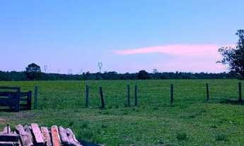 Imagem: Venda de 2 fazendas