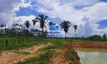 Imagem 7: Vende-se excelente chácara com 2,58 ha à 12 km de Porto Velho