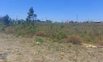 Imagem 2: Passo de Torres - Terreno Padrão - Tapera