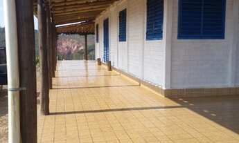 Imagem 3: Chacara 10.000m² com campo de futebol , pomar com plantas frutiferas