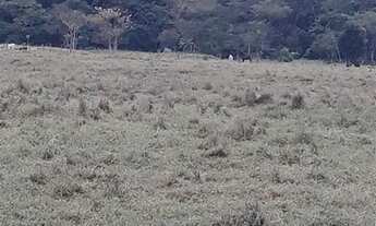 Imagem 7: Jacupiranga - Fazenda - Canha