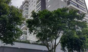Imagem 4: APARTAMENTO - VILA SANTA CATARINA - SP