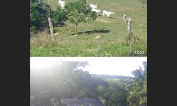 Imagem 2: Vende-se uma excelente fazenda 25 Alqueires