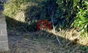 Imagem 5: Terreno à venda Alvinópolis, Atibaia - SP