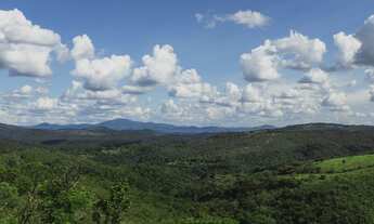 Imagem 3: Fazendinhas 20.000m² Localização Excelente 165.025 + Parcelas