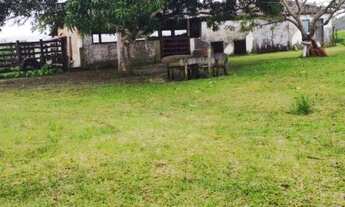 Imagem 3: Sítio / fazenda em itaporanga