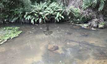 Imagem 7: Chácara para Venda em Centro Bocaiúva do Sul-PR - 550