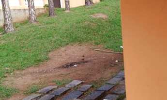 Imagem 6: Chácara Chácara com venda por R$1.000.000