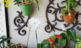 Imagem 6: APARTAMENTO - BARRA FUNDA - SP