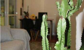 Imagem 5: * Luzes da Moóca - Portale Mattino - Maravilhoso apartamento c/ varanda gourmet *