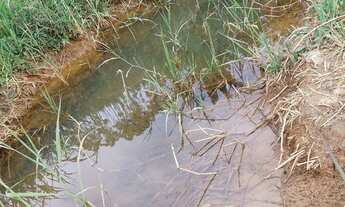 Imagem 6: Sitio no trevo de munisfreire