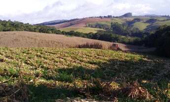 Imagem 7: RIBEIRÃO BRANCO - RURAL - Zona Rural