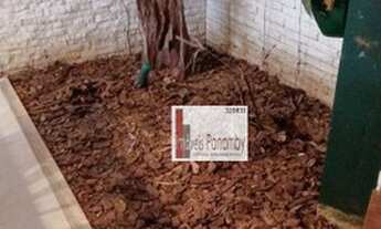 Imagem 2: Casa com 3 dormitórios, 270 m² - venda por R$ 2.300.000,00 ou aluguel por R$ 25.000,00/mês