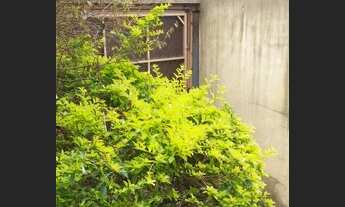 Imagem 7: Casa para venda possui 190 metros quadrados com 3 quartos em Tucuruvi - São Paulo - SP