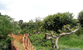 Imagem 4: CHACARA - DOIS CÓRREGOS - SP