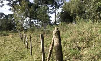 Imagem 4: Chácara para Venda em Centro Bocaiúva do Sul-PR - 549