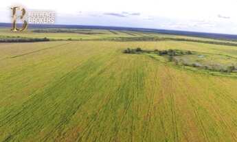 Imagem 6: Fazenda extraordinária em Cocalinhos - MT