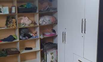 Imagem 5: Vendo chácara em araucária