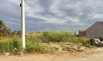 Imagem: Lote 360,00m² (Desmembrado, Asfalto e Agua)