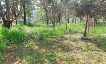 Imagem 7: Sitio Fazendinha Terreno Chácara a 800 metros da BR 381, Vieiras, Itatiaiuçu MG