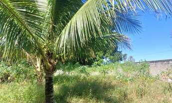 Imagem 7: Sitio em Tingua ( Iguaçu Velho