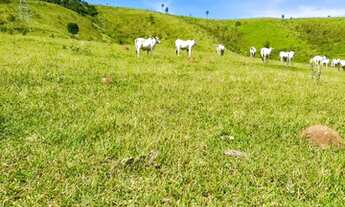 Imagem: 32R-Lote/Terreno para venda tem 500 metros