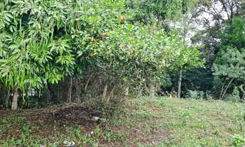 Imagem 7: Casa na geral de Caldas da Impertriz