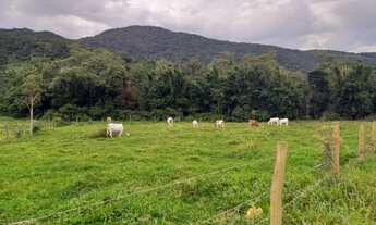 Imagem 3: Oportunidade única em Garopaba, terreno com 2.500 metros na encantada