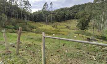 Imagem: Sítio para Venda em São Pedro de Alcântara