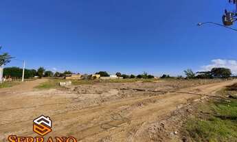 Imagem 5: Imbe - Terreno Padrão - Marisul