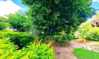 Imagem 4: Lote na Melhor Localização do Bandeirantes!