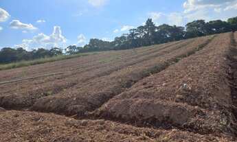 Imagem 4: 03m-Faço negocio com seu carro em meu terreno