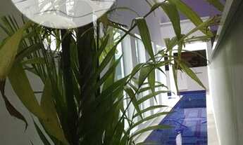 Imagem 5: BERTIOGA - Casa de Condomínio - MAITINGA