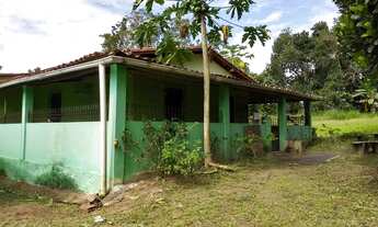 Imagem 13: POJUCA - Fazenda 230 ha