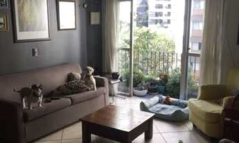 Imagem 1: APARTAMENTO - CAMPO BELO - SP