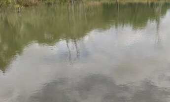 Imagem 3: Fazenda em Turvania