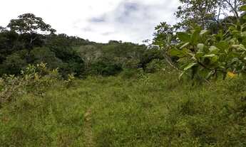 Imagem 11: POJUCA - Fazenda 230 ha