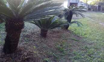 Imagem 3: Sítio à Venda Fazenda / sítio com venda por R$620.500